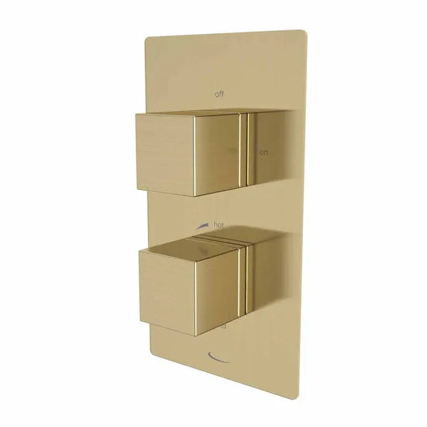 Tavistock Index Dual Function Shower Valve