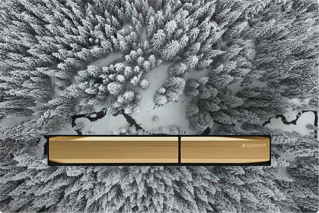 Geberit Sigma50 Dual Flush Plate