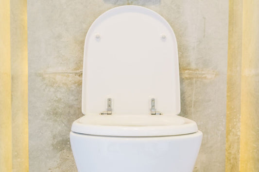 choosing the perfect wall hung toilet for small spaces