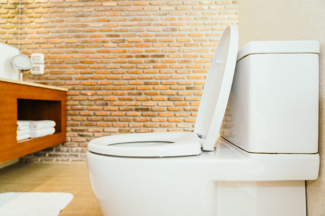 choosing the right comfort height toilet for your bathroom