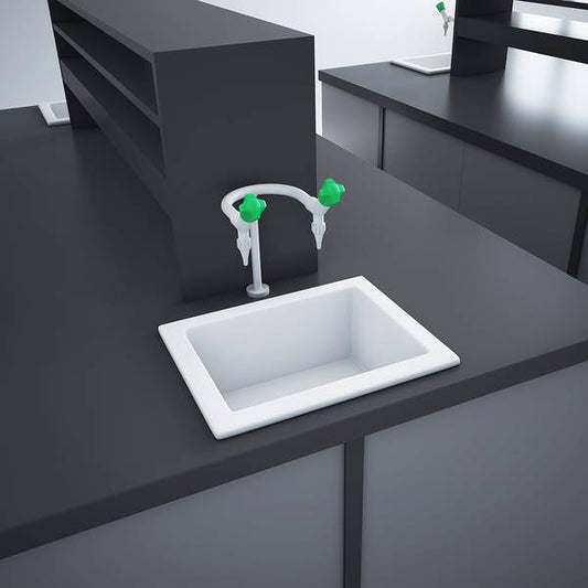 RAK Laboratory Sink