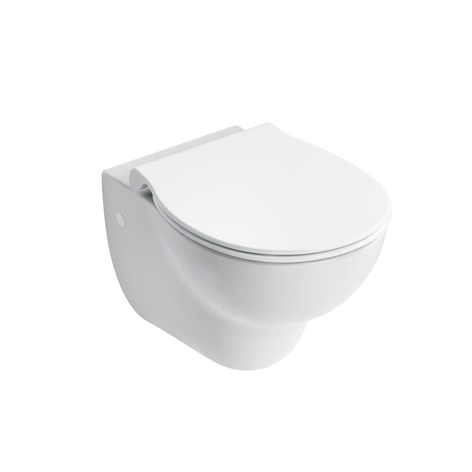 Armitage Shanks Contour 21+ wall mounted Standard projection Rimless WC