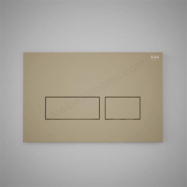 RAK-Ecofix Rectangular Plate and Flush Push Button