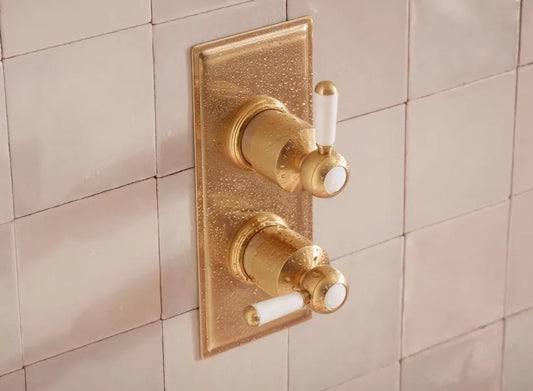 Tavistock Lansdown Dual Function Shower Valve