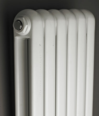 Nuie Salvia Horizontal Double Panel Radiators