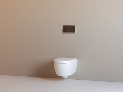 Geberit Delta25 Dual Flush Plate