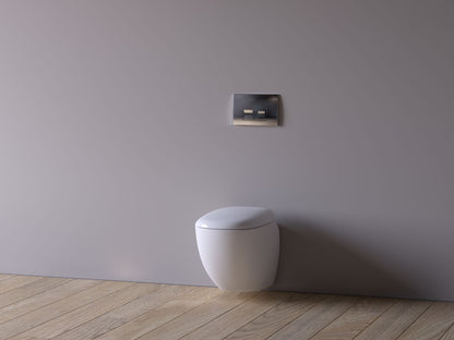 Geberit Delta35 Dual Flush Plate