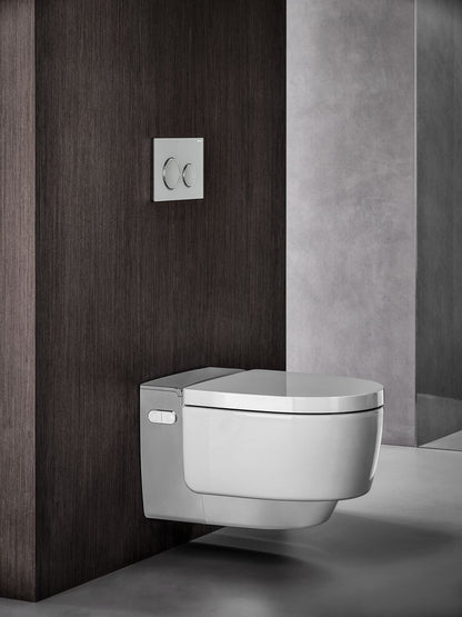 Geberit Sigma21 Dual Flush Plate