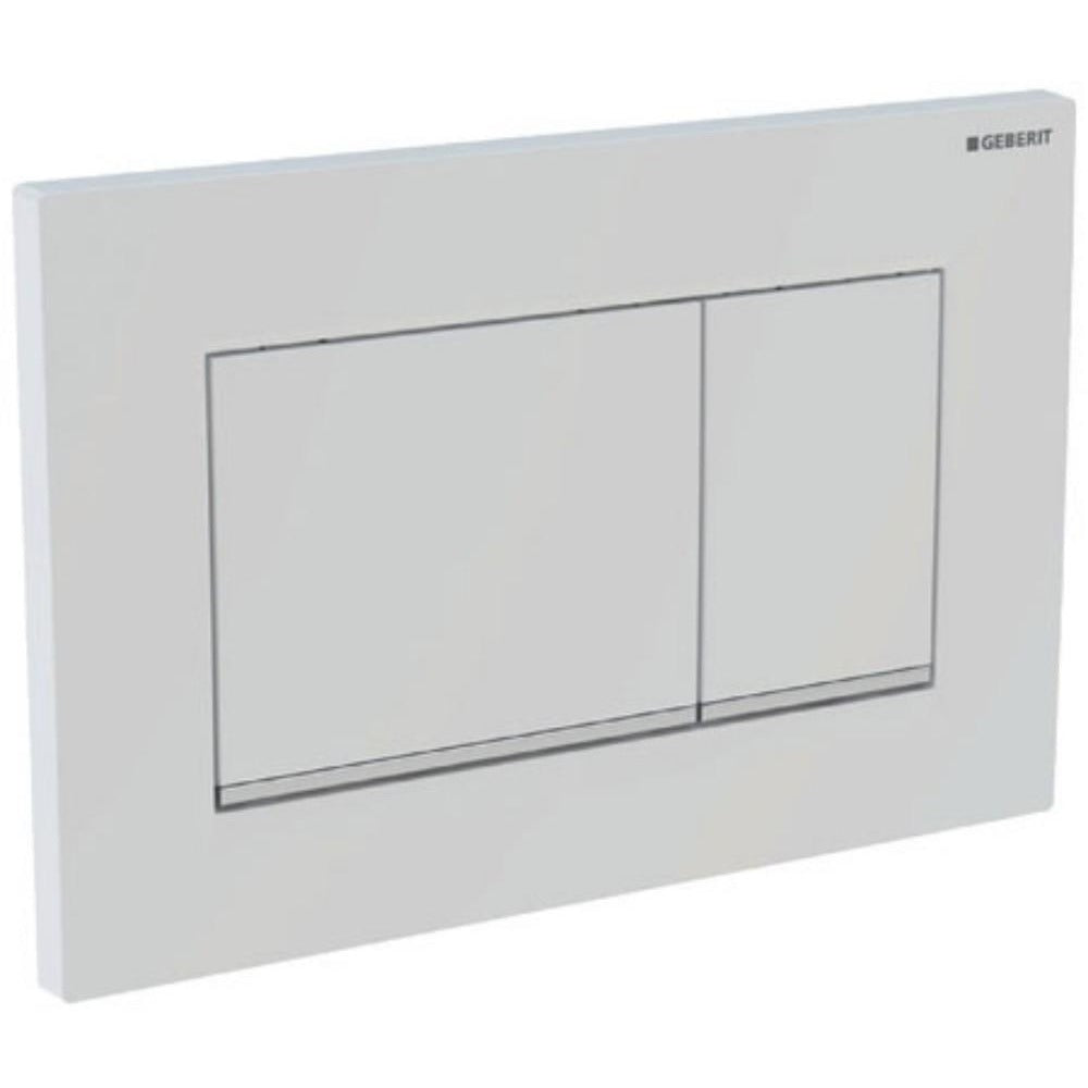 Geberit Sigma30 Dual Flush Plate