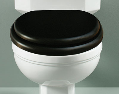 Silverdale Victorian Close Coupled Toilet - Blue Pattern