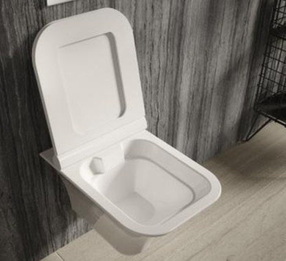 Hudson Reed Grace Wall Hung Rimless Pan & Soft Close Seat