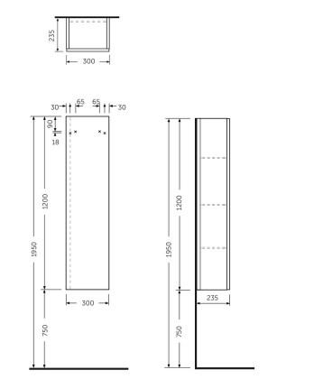 RAK-Joy 300 x 1200mm Wall Hung Tall Cabinet