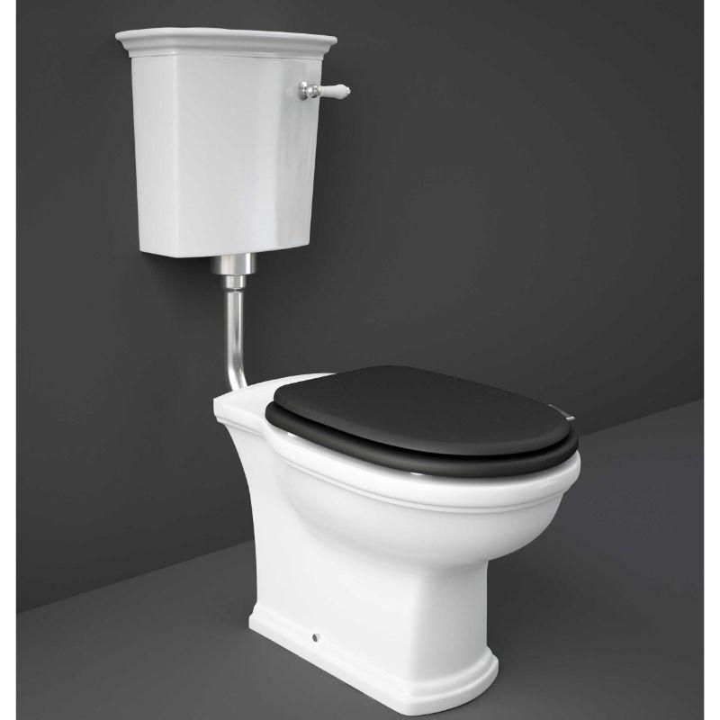 RAK-Washington Low Level WC with Wooden Seat